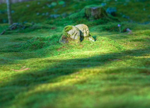 Combiné Tokyo Kyoto en 3* ou 4* - 6