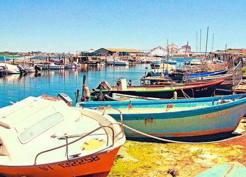 Air iodé et plage aux portes de Montpellier - 12