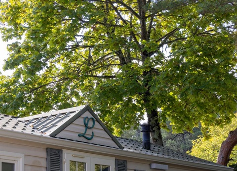 Flower Camping La Davière Plage, 4* - 33