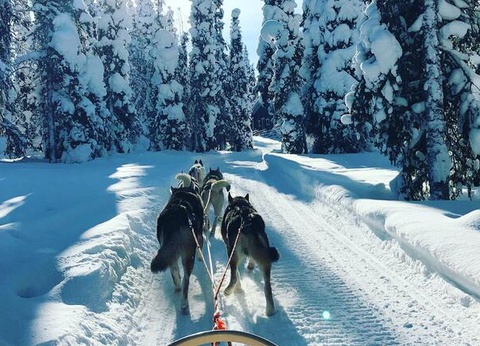 La Magie de Noël au Coeur de la Laponie Suédoise - 26