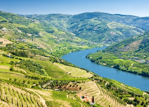 Circuit Couleurs et douceurs du Portugal - 15