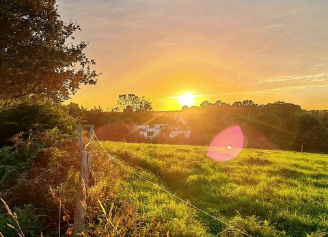 Camping Les Peupliers 3* - 35