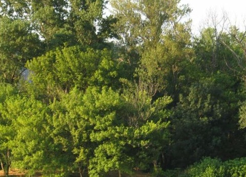 Camping Iserand Calme et Nature, 3* - 50