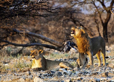 Circuit Trésors d'Afrique australe - 12