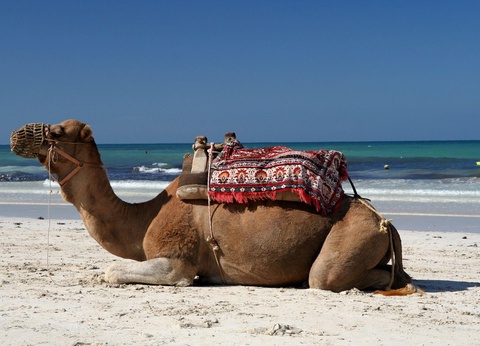 Circuit de Carthage au Sahara - 2