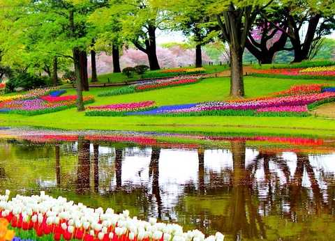 Découvrez Scheveningen et le Keukenhof en un week-end - 3* - 26