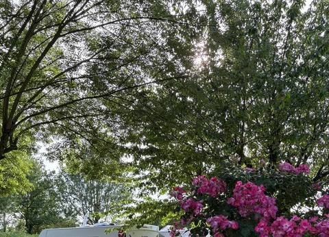 Flower Camping L'Abri-Côtier, 3* - 21