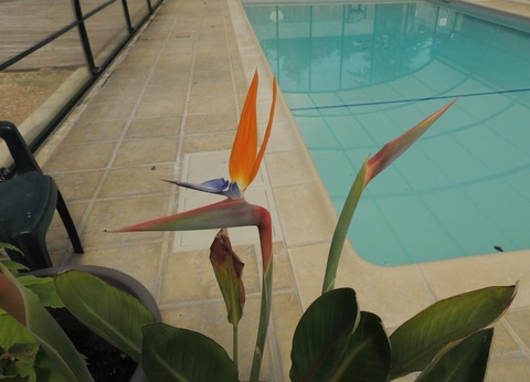 Les Chalets d'Auvergne, 4* - 19