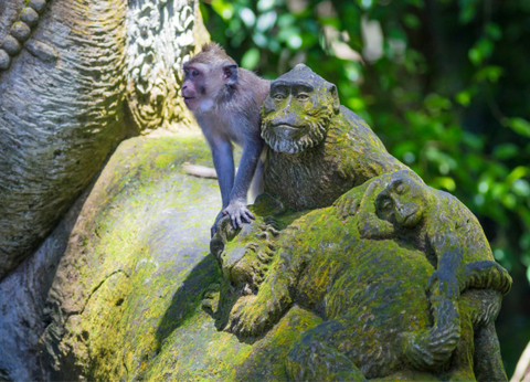 Circuit Aventures en Famille à Bali 4* - 9