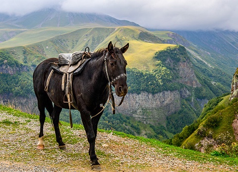 Circuit Géorgie, perle du Caucase **** - 20