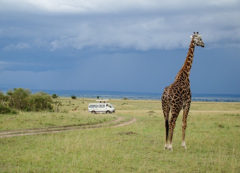 Combiné Safari Hakuna Matata et Jacaranda Indian Ocean Beach Hotel 4* - 2