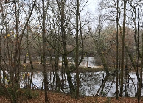 Camping Val de l'Eyre, 4* - 17