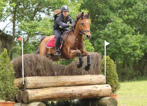 Camping Les Ormes Domaine et Resort 5* - 35