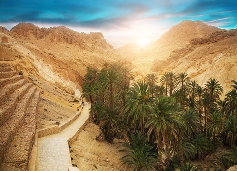 Combiné circuit et hôtel Circuit Plage au Framissima Golf Beach Djerba et désert de Tozeur **** - 16