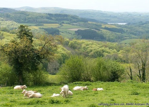 Camping Ushuaïa Villages Au Bois Joli, 4* - 19