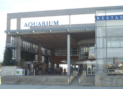 Camping Val de Boutonne, 3* - 18