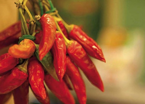 Camping Italy Camping Village, 4* - 42