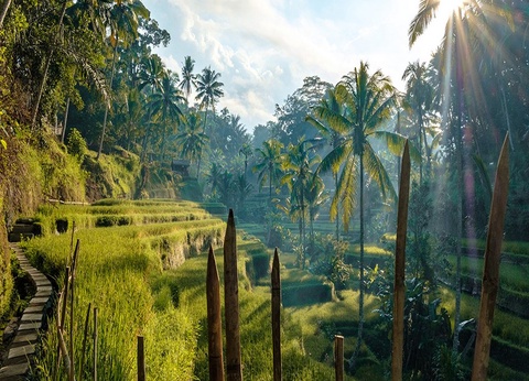 Combiné circuit Charmes balinais et séjour Ôclub Select Merusaka Nusa Dua 5* - 4