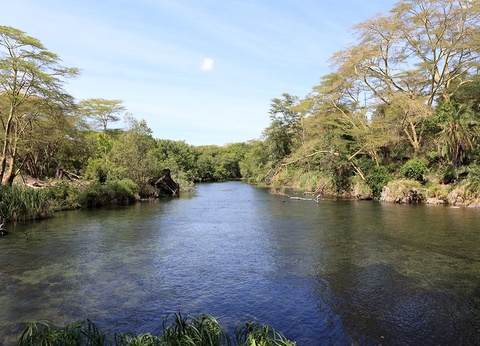 Combiné Ôclub Select Diamonds Malindi 5* et Safari - 11
