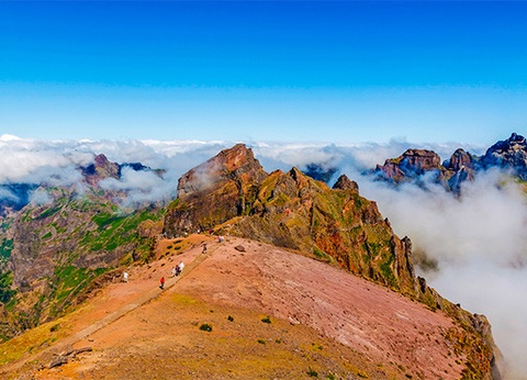 Circuit Madère Authentique : entre falaises et levadas **** - 19