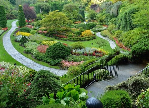 Circuit Rocheuses Canadiennes, la Nature en Grand - 9