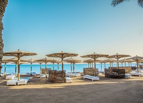 Hôtel Palm Beach Resort 4* - 3