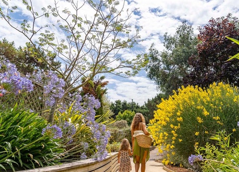 Camping Romanée - Le Châtelet 5* - 42