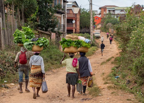 Circuit Intense Madagascar le long de la Route Nationale 7 - 10