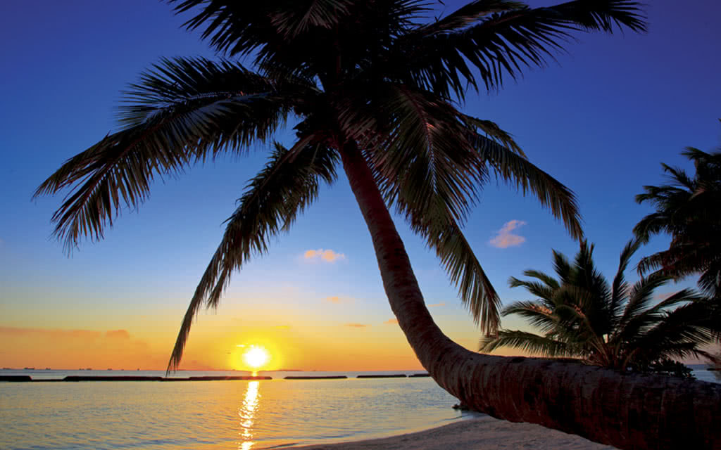 Hôtel Kurumba Maldives 5* - 15