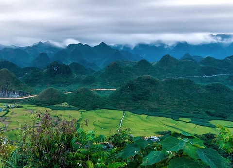 Circuit Mosaïque de cultures - 15