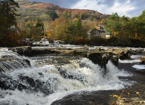 Circuit en étoile Charme écossais - 7