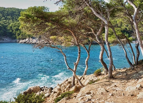 Camping de l' Arquet 4* - 18