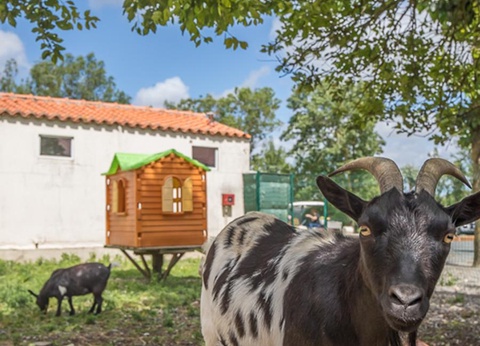 Camping Le Merval, 3* - 18