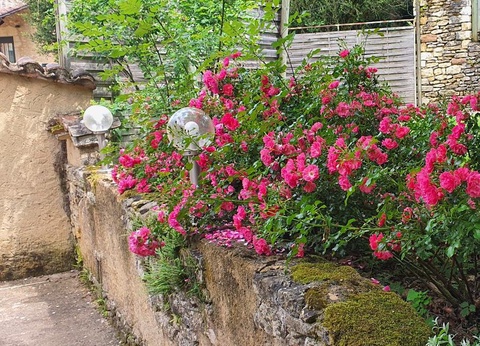 Camping Moulin de David 4* - 18