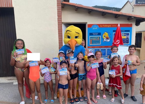 Camping Paradis - Vallespir, 3* - 84