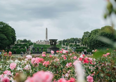 Circuit Splendeurs des Fjords & du Cap Nord 11J/10N - 2026 - 4