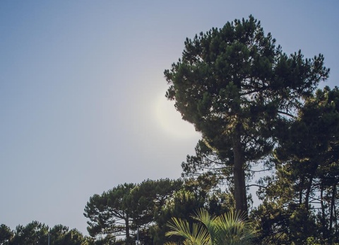 Camping Vacances André Trigano - Domaine de Montcalm, 4* - 36