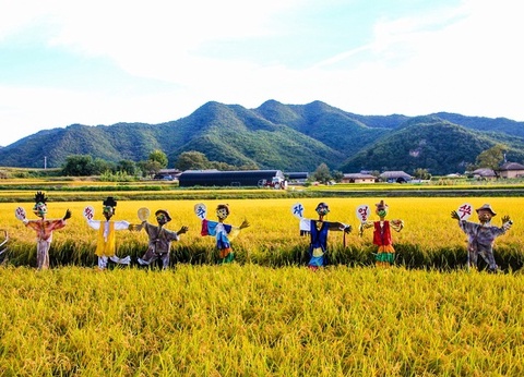 Circuit individuel : L'intégral de Corée - 6