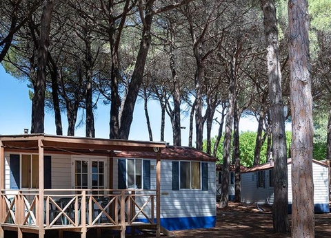 Camping Pineta sul Mare, 3* - 103