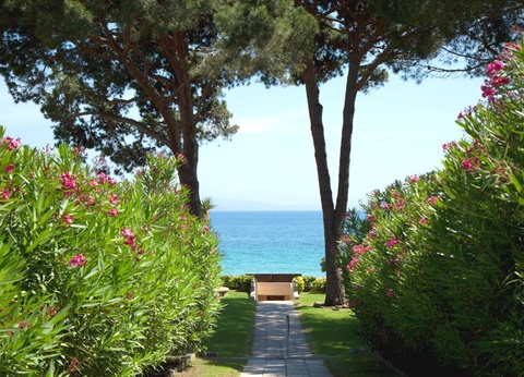 Hôtel La Pinède 3* (vols réguliers) - 8