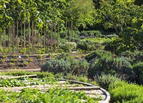 Grand Hôtel de Cala Rossa 5* - 20