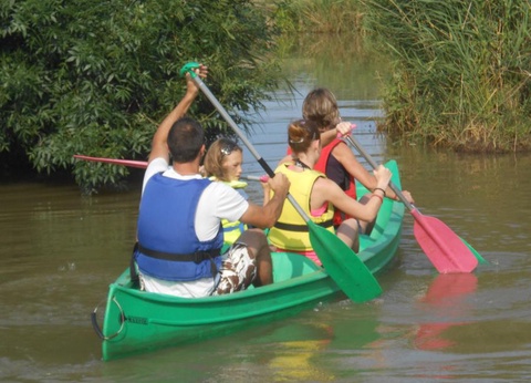 Camping Les Cyprès, 4* - 20