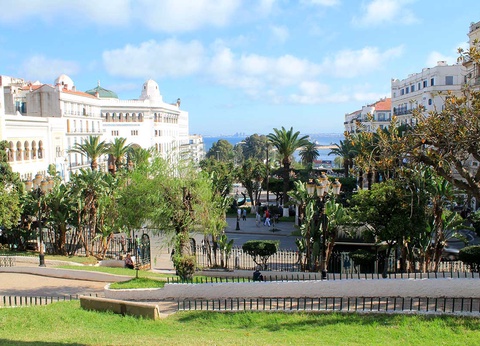 Circuit La boucle des Oasis : les jardins de la Saoura - 12