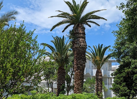 Club Lookéa Apollonia Beach 5* - Choix flex - 21