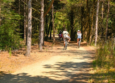 Camping Le Pont D'yeu, 3* - 61