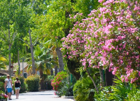 Camping Les Salisses, 4* - 92