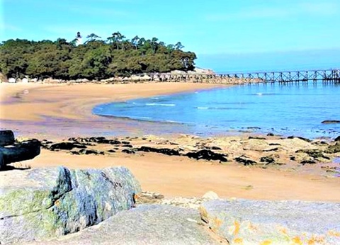 Camping Le Bois Masson 4* - 40