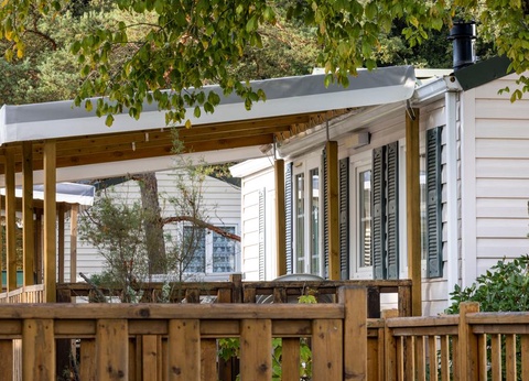 Flower Camping La Davière Plage, 4* - 30