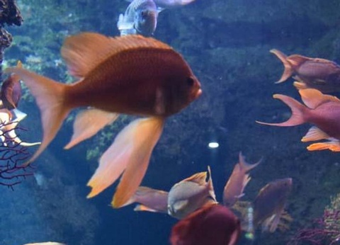 Camping Maeva Escapades de La Geres, 3* - 46