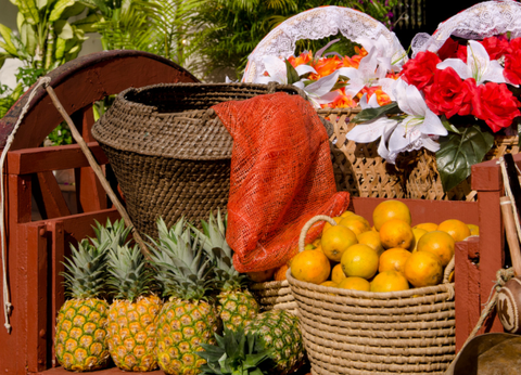 Circuit Panama, Couleur Café - 4